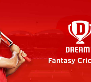 Dream11 Fantasy Cricket